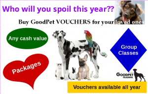 Vouchers image